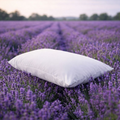 Pack of 2 Head2Sleep Lavender Scent Release Pillow